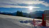 IMG-20240225-WA0000.jpg