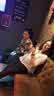 IMG-20240324-WA0021.jpg