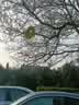 IMG-20240325-WA0000.jpg
